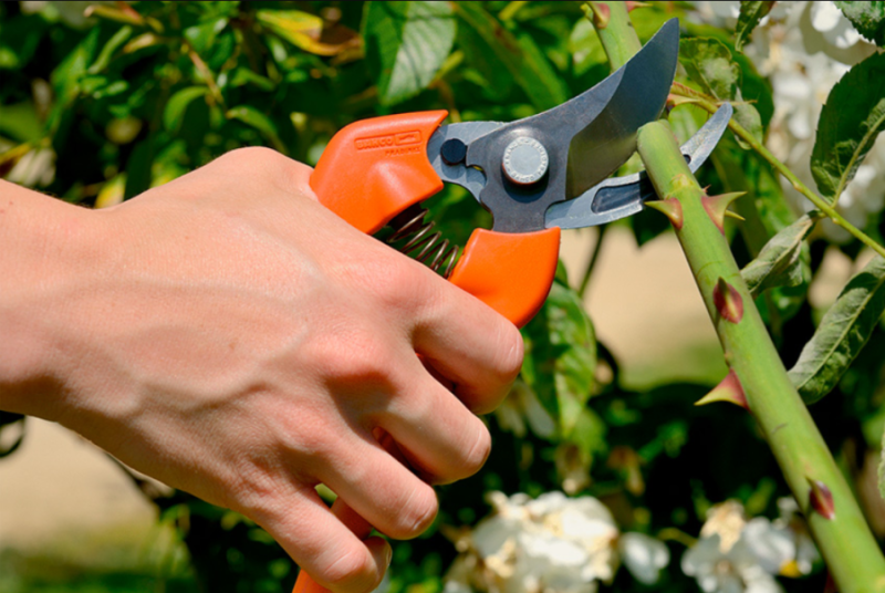 SEKATOR NOŻYCOWY 210 mm