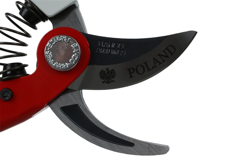 P126-19-POLAND 3.png