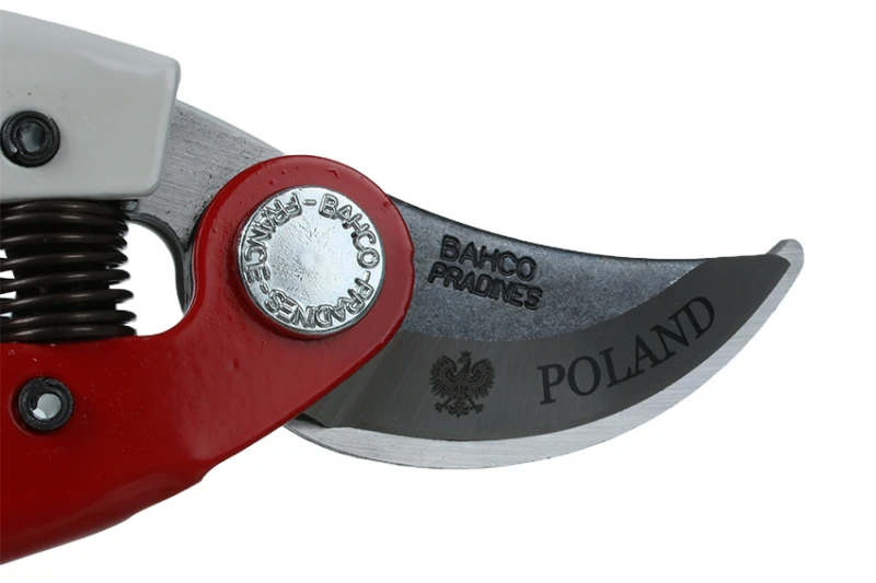 P126-19-POLAND 2.png