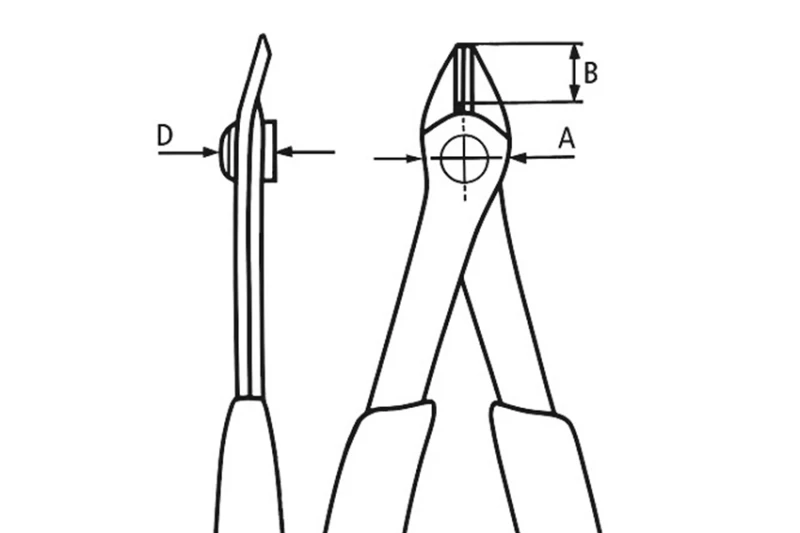KX7813125 5.png