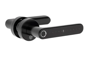 Klamka elektroniczna PSG LUMA krótki szyld okrągły, czarna, Bluetooth/Wi-Fi, Smart Life, IP55