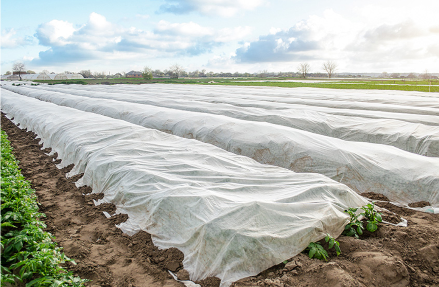 AGROWŁÓKNINA WIOSENNO-ZIMOWA BIAŁA 1,6 x 100 m / 30 g