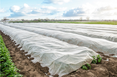 AGROWŁÓKNINA WIOSENNO-ZIMOWA BIAŁA 3,2 x 5 m / 30 g